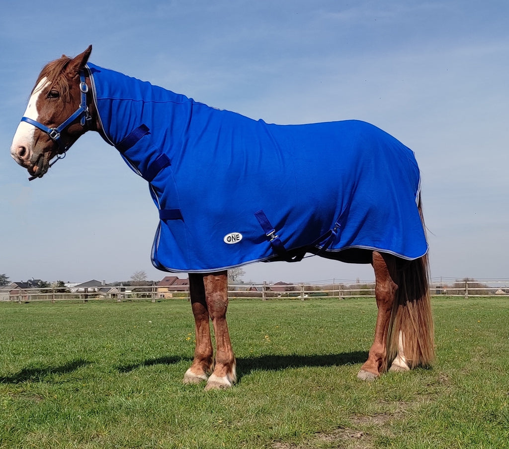 HOGE NEK ZWEETDEKEN IN NON PEELING FLEECE