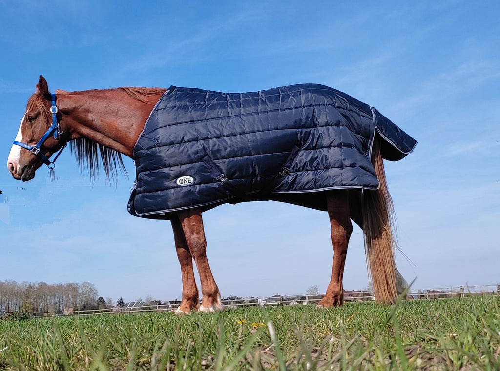 STALDEKEN  420D MET AFNEEMBAAR NEKSTUK
