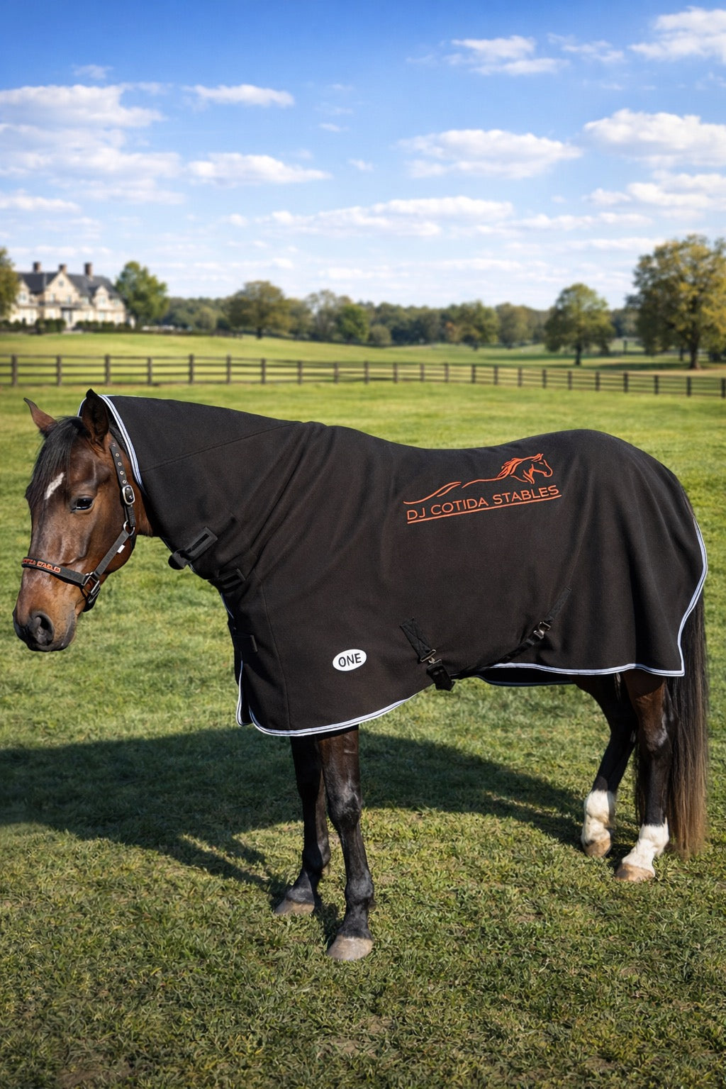 GEPERSONALISEERDE DEKENS EN HALTERS - VOLLLEDIG OP MAAT