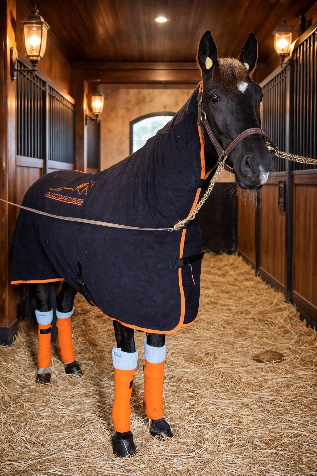 GEPERSONALISEERDE DEKENS EN HALTERS - VOLLLEDIG OP MAAT
