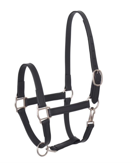 HALSTER STALLBAND IN BIOTHANE VERSTERKT MET NYLON