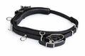 HARNESS ZADEL