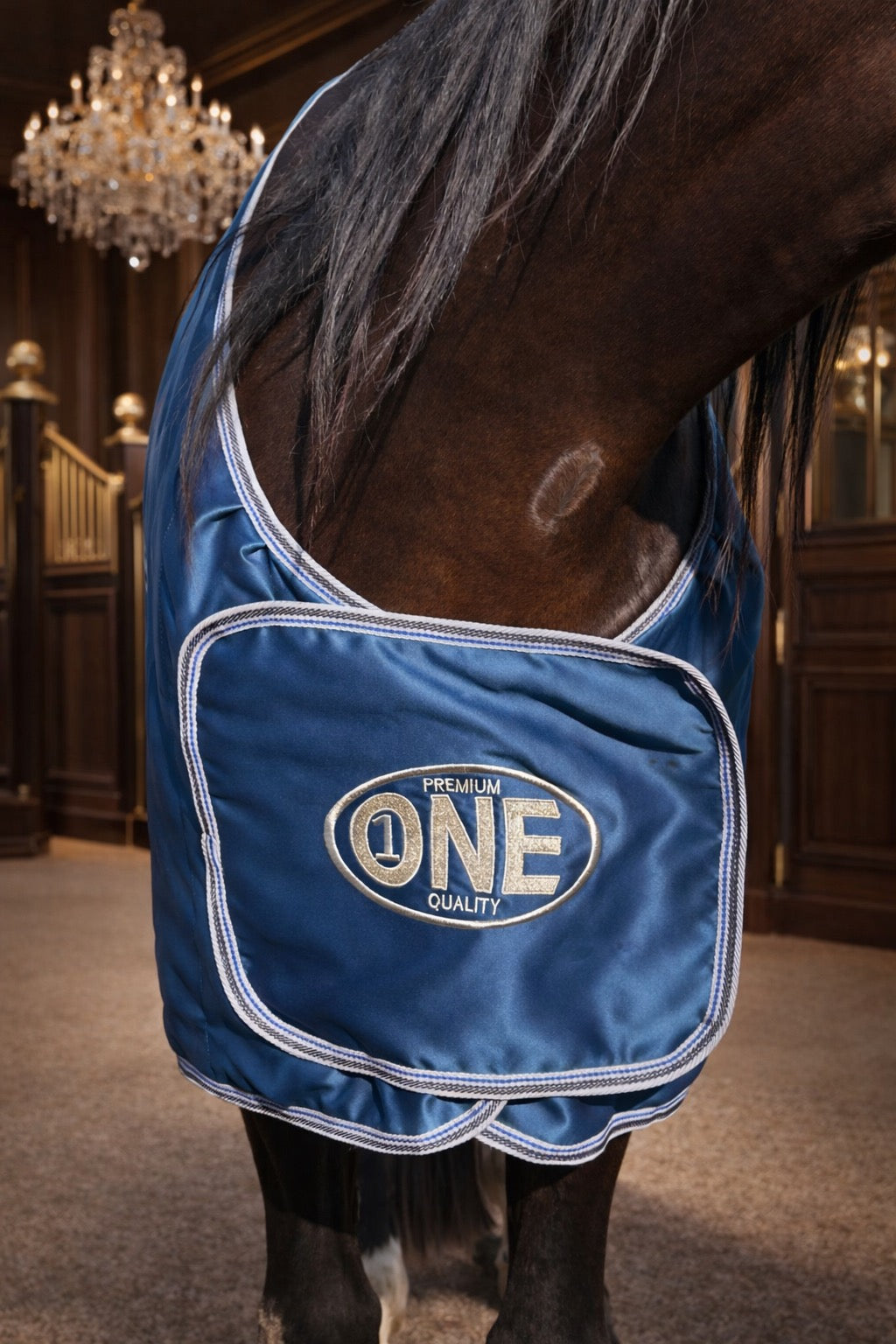 GEPERSONALISEERDE DEKENS EN HALTERS - VOLLLEDIG OP MAAT