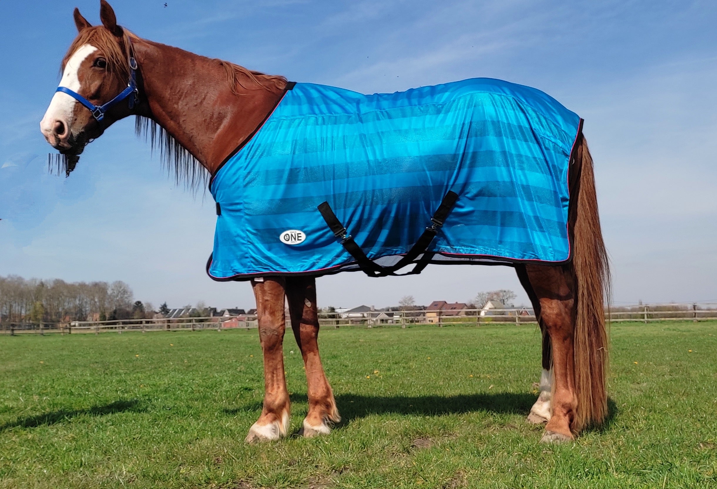 VLIEGENDEKEN MET FLEECE